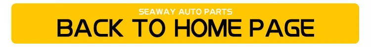 Front bumper decorative strip 2803115XKZ0YA for Haval M6 parts